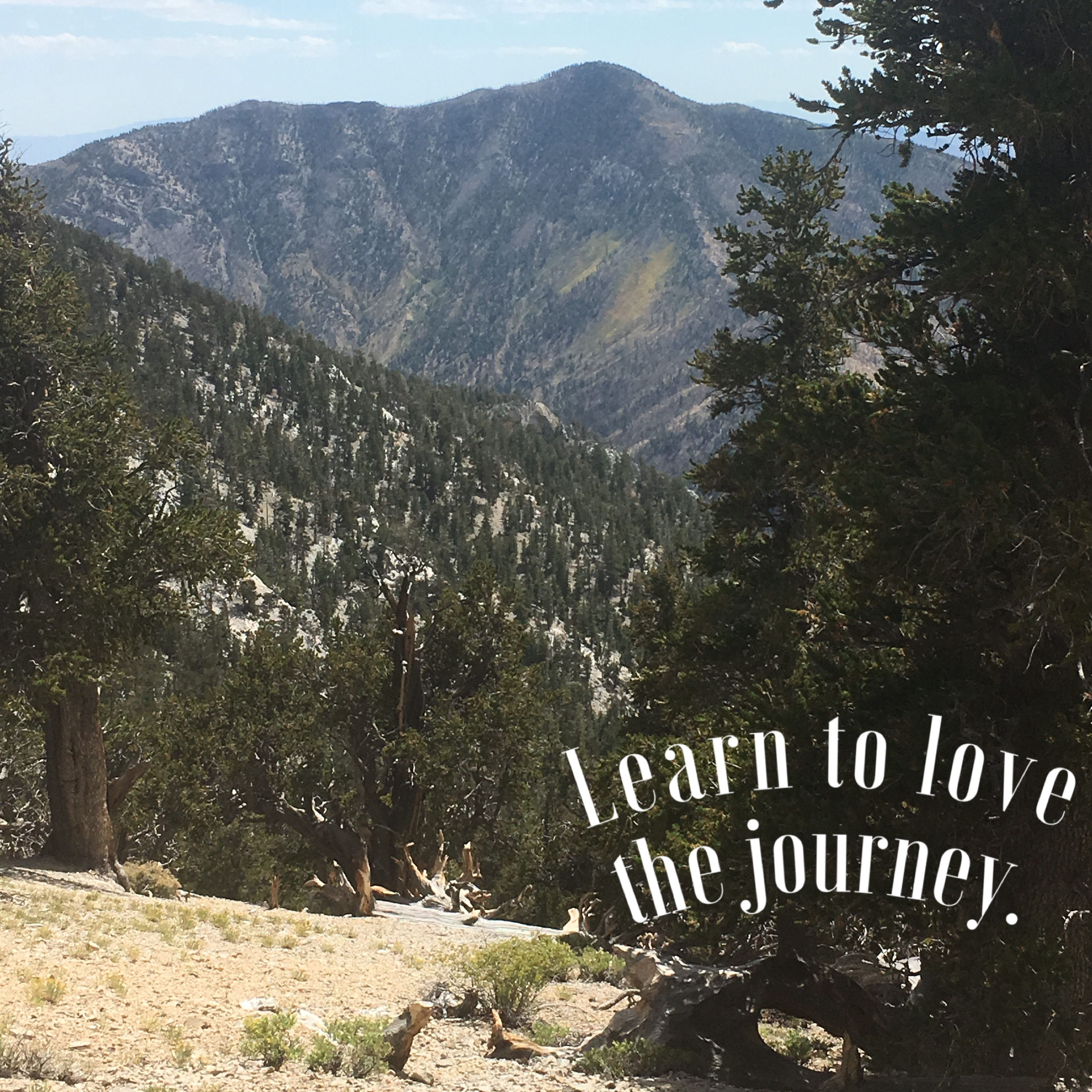 Learn to Love the Journey