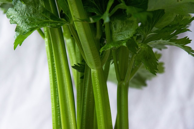 Celery