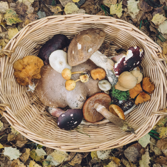Mushrooms