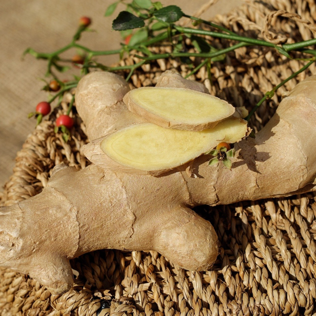 Oh Gee, Ginger!