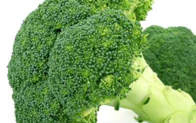 Nutrient Packed Broccoli